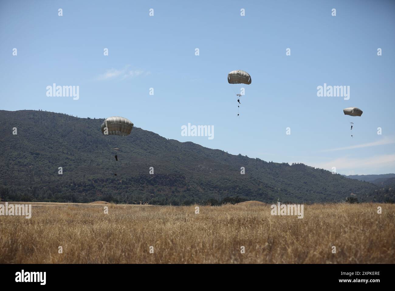 La réserve de l'armée américaine avec le 426th civil Affairs BN parachute au-dessus de la zone de largage Patricia, pendant l'exercice de livraison aérienne 2024 (ADEX24), à Fort Hunter Ligget, en Californie, le 5 août 2024. La 346th Theater Aerial Delivery Company soutient des opérations de combat à grande échelle par Aerial Delivery. (Photos de l'armée américaine par le sergent Trevon Hendley) Banque D'Images