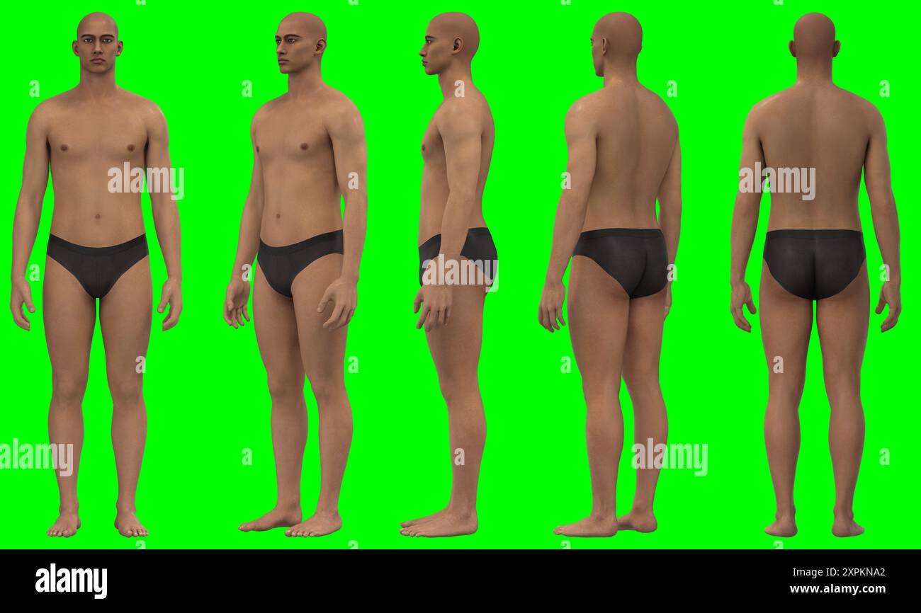 Modèle 3D masculin dans diverses poses, mannequin corps masculin Banque D'Images