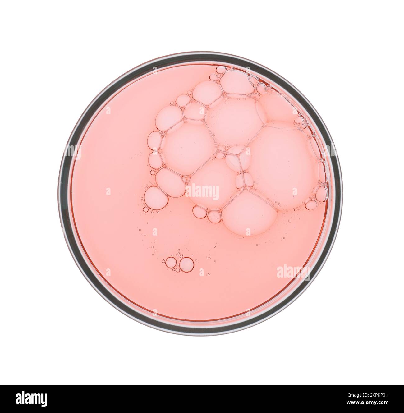 Boîte de Petri avec échantillon isolé sur blanc, vue de dessus Banque D'Images