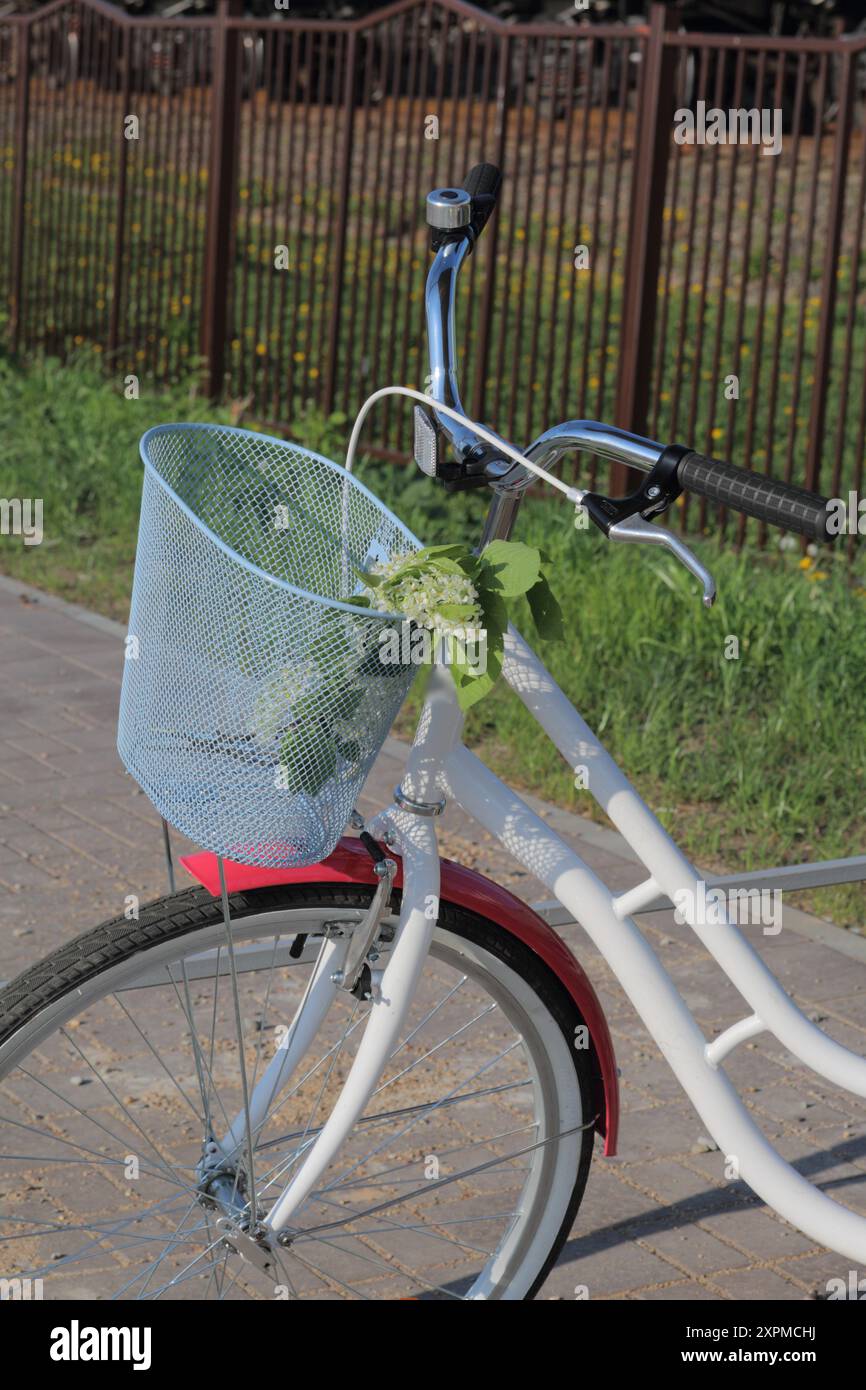Un vélo de marche est à l'arrêt de bus. Dans le panier se trouve un bouquet de fleurs. Banque D'Images
