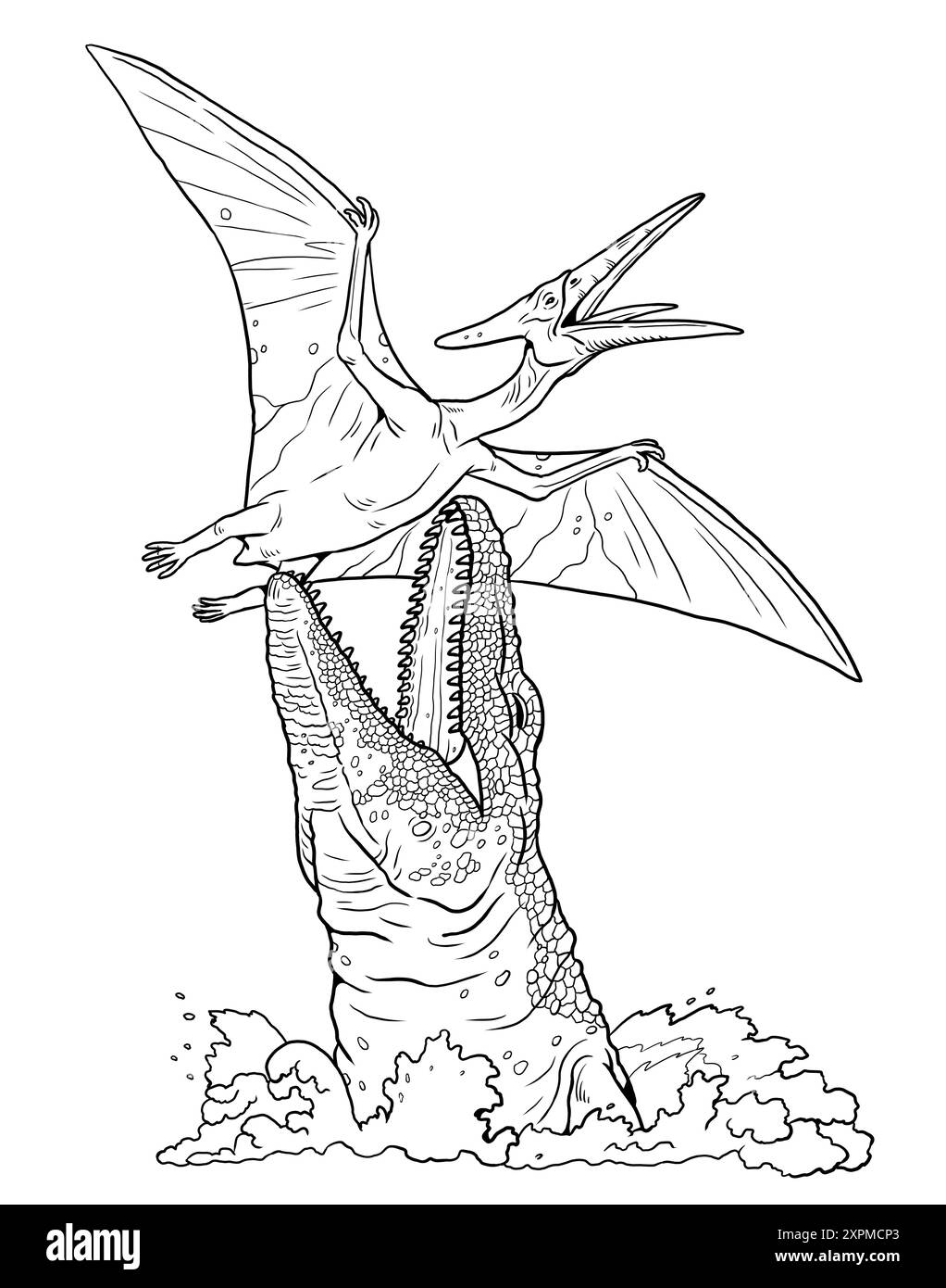 Mosasaurus attaque un Pteranodon volant depuis l'eau. Dessin fait à la main avec des créatures préhistoriques à colorer. Combat de dinosaures. Banque D'Images