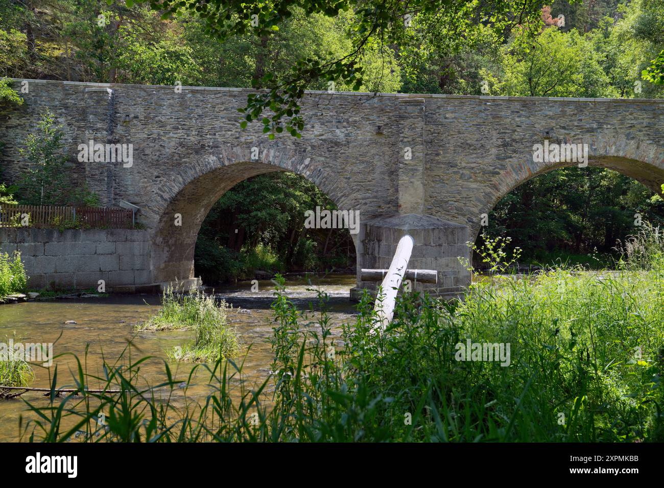 Vue, historique, pont de grès, sur la rivière, Strela, 14ème siècle, deuxième plus vieux pont, Rabstejn nad Strelou, République tchèque Banque D'Images