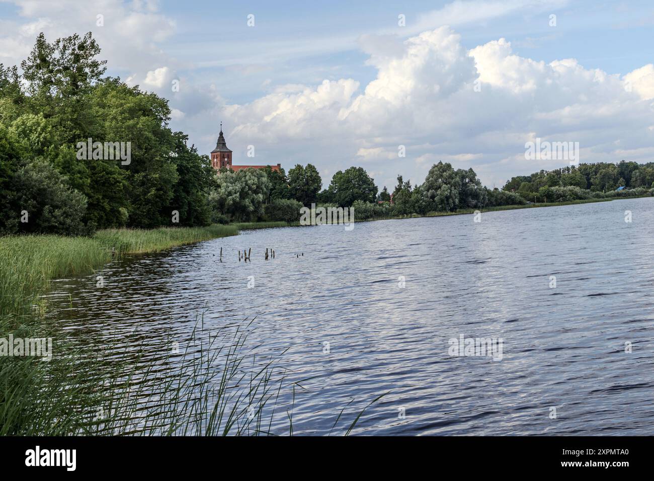 Susz vue du lac depuis la plage de la ville, comté de Iława, Pologne Banque D'Images