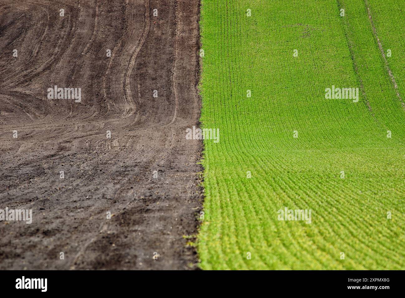 la limite des terres cultivées et semées Banque D'Images