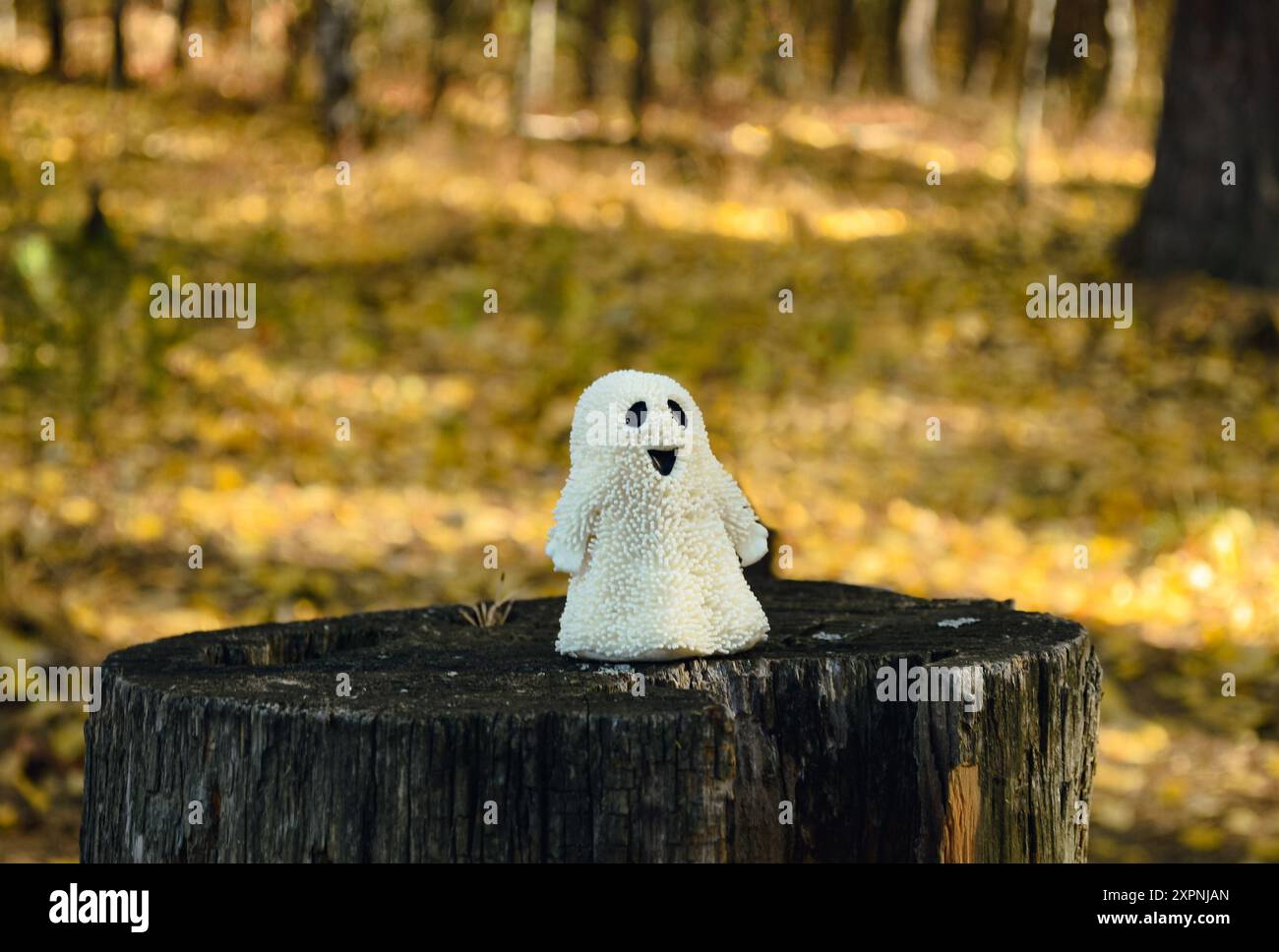 Jouet fantôme drôle se dresse sur une vieille souche dans la forêt d'automne Banque D'Images