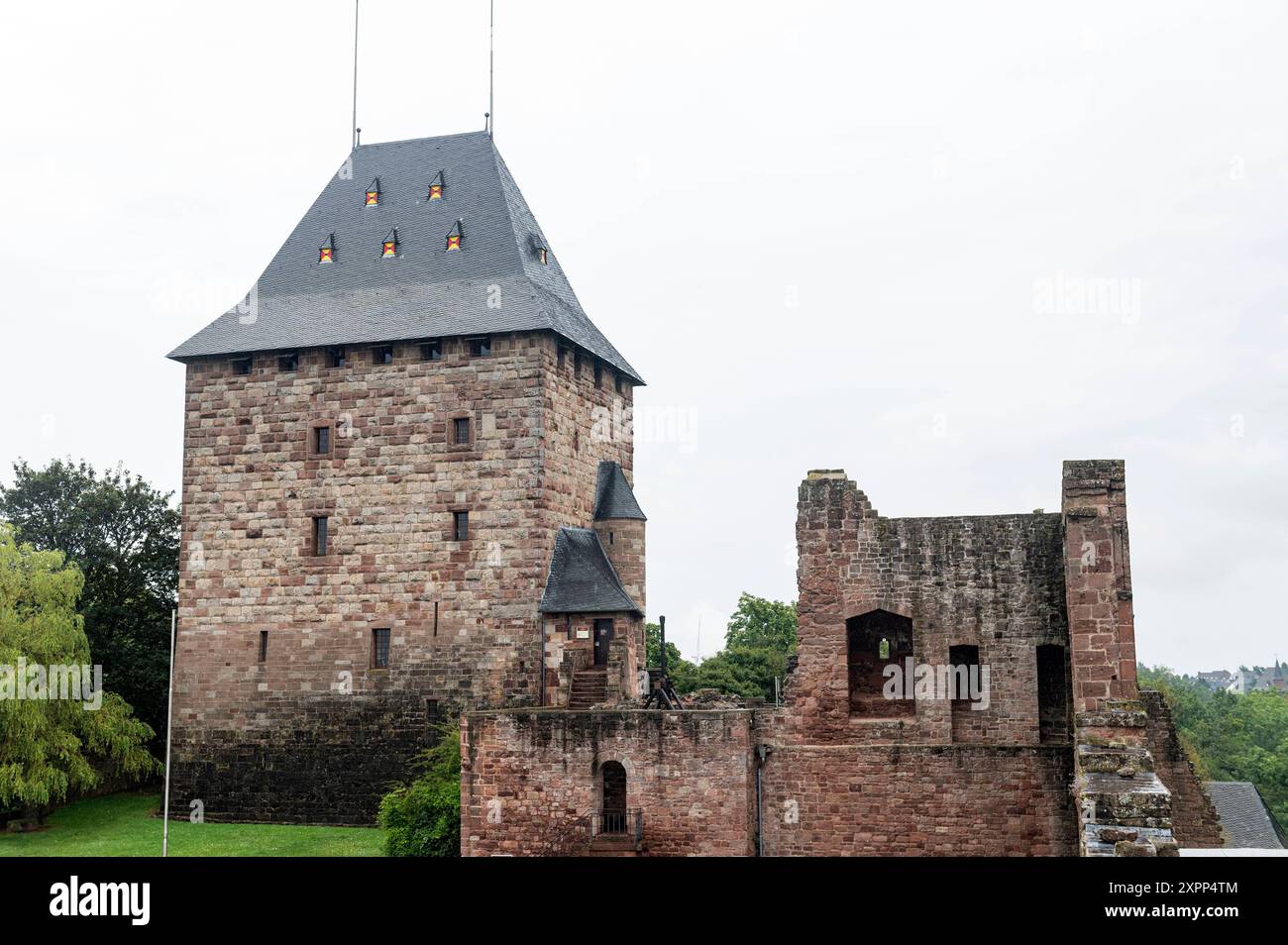 Nideggen Nordrhein-Westfalen Allemagne 1er août 2024 Berg Nideggen fabriqué à partir de Buntsandstein rouge. Buntsandstein aussi appelé bunter est une roche sédimentaire formée dans le trias déposée dans le bassin germanique. grès, géologie, château, bourg Banque D'Images