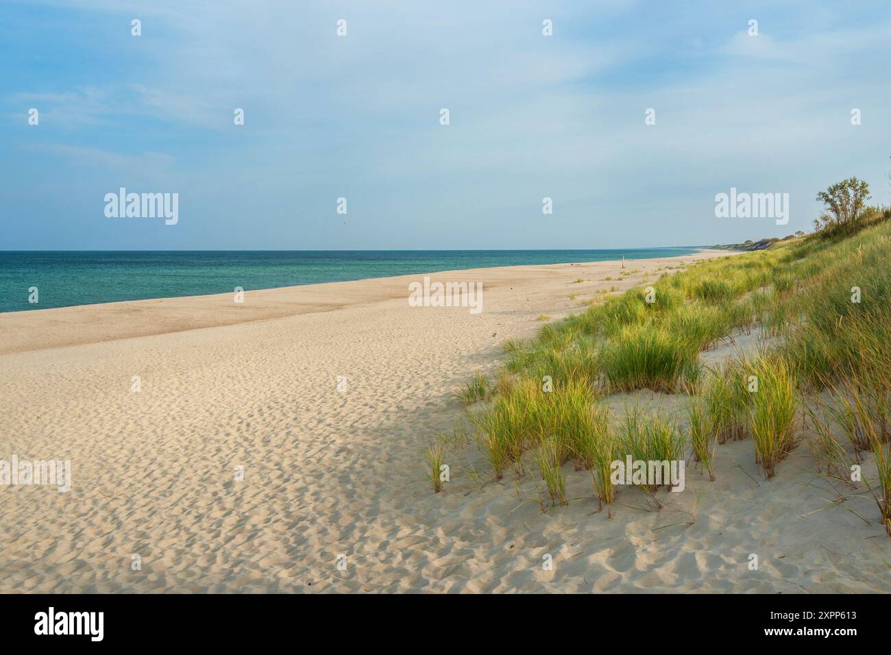 Vue sur une longue plage de sable blanc dans le parc national Curonian Spit. Région de Kaliningrad. Russie Banque D'Images