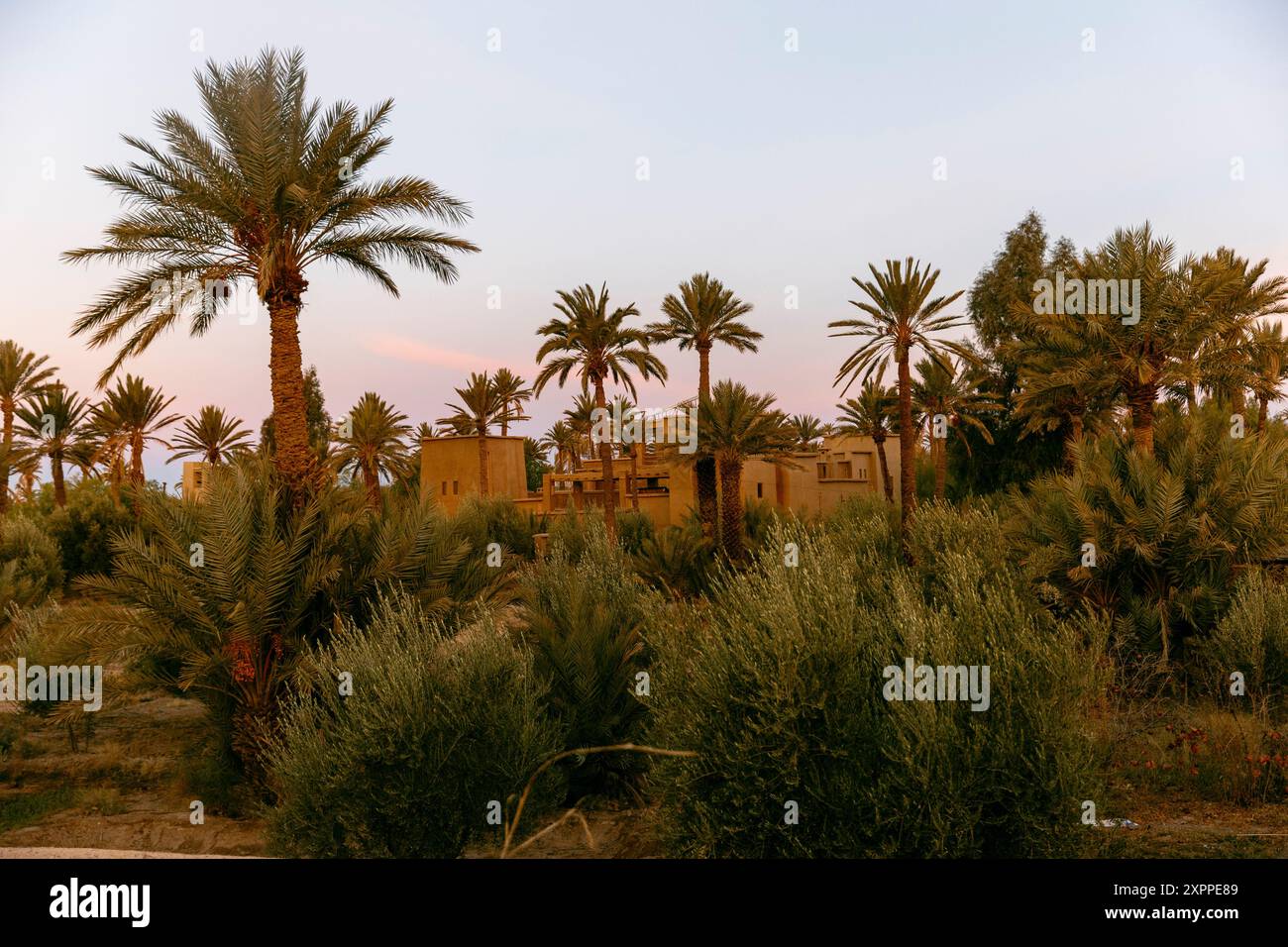 lever de soleil depuis la terrasse du rihab dans le désert du sahara, merzouga Banque D'Images