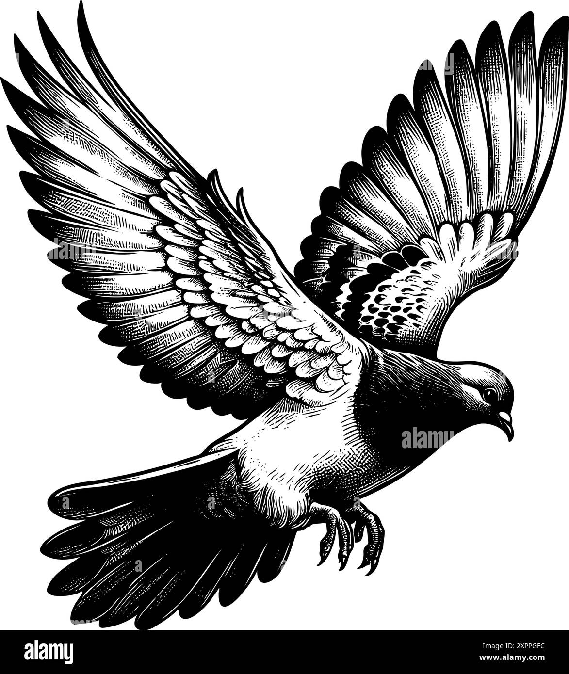 Dessin noir et blanc d'un oiseau avec ses ailes déployées. L'oiseau vole haut dans le ciel, et son envergure est assez grande. Concept de liberté et de grâce Illustration de Vecteur Dessin noir et blanc d'un oiseau avec ses ailes déployées. L'oiseau vole haut dans le ciel, et son envergure est assez grande. Concept de liberté et de grâce Illustration de Vecteur