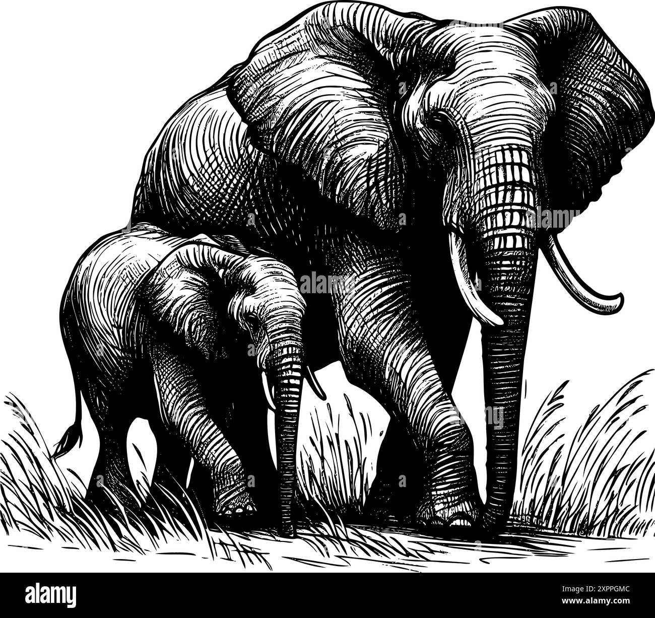 Un dessin de deux éléphants, dont l'un est un bébé. Le bébé éléphant est plus petit que l'éléphant adulte et se tient à côté de lui. Concept de famille et de protection Illustration de Vecteur