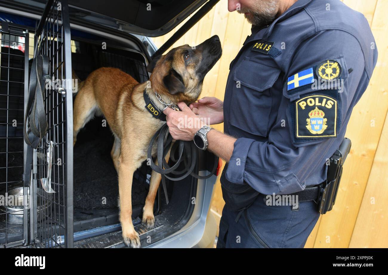 *** STRICTEMENT AUCUNE VENTE AUX MÉDIAS OU ÉDITEURS FRANÇAIS - DROITS RÉSERVÉS ***25 juillet 2024 - Paris, France : le policier suédois Fredrik sort Max, un malinois belge de 3 ans formé à la détection d'explosifs. Une équipe suédoise de détection d’explosifs canins est déployée dans la zone des Invalides, l’un des sites clés des Jeux Olympiques, la veille de la cérémonie d’ouverture. Banque D'Images