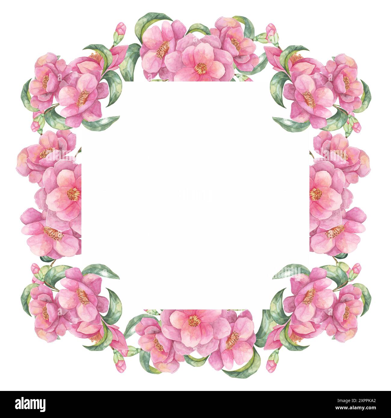 Clipart aquarelle rose camélia avec des fleurs vibrantes créant une bordure complète autour d'un cadre carré blanc. Convient pour les invitations de mariage, les graphiques de médias sociaux et les impressions encadrées Banque D'Images