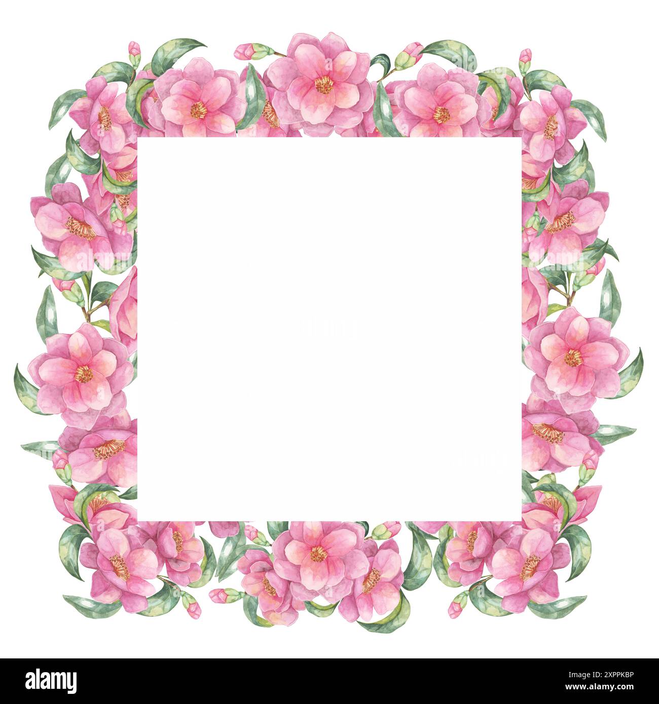 Camellia japonica aquarelle clipart mettant en vedette des fleurs roses luxuriantes entourant un cadre carré blanc. Ce beau design est parfait pour créer des cartes élégantes, des illustrations numériques et des cadeaux personnalisés Banque D'Images