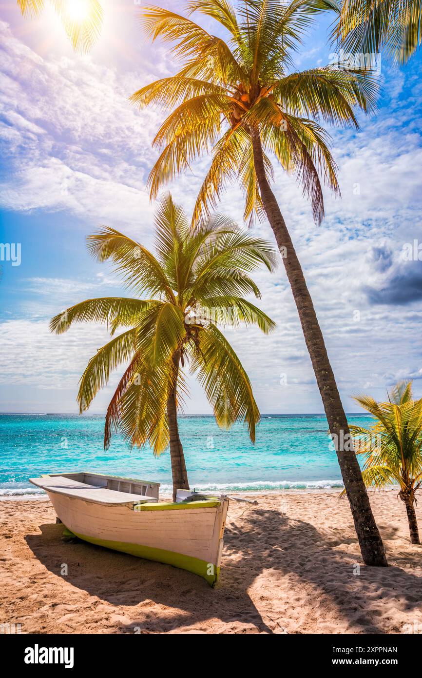 Palmiers sur la plage tropicale du Morne, Maurice. Concept de fond de vacances tropicales sur la plage le Morne, Maurice. Plage paradisiaque sur l'île Maurice i Banque D'Images