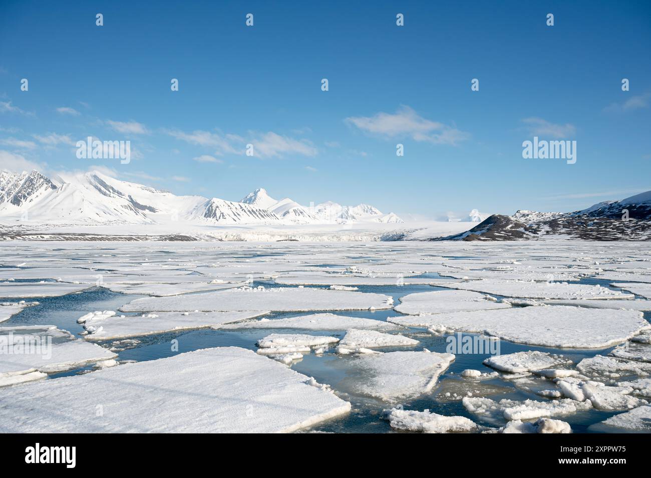 Vue sur la dérive de glace jusqu'au glacier Fridjorfhamna, Spitzberg, Svalbard, Norvège, Arctique Banque D'Images