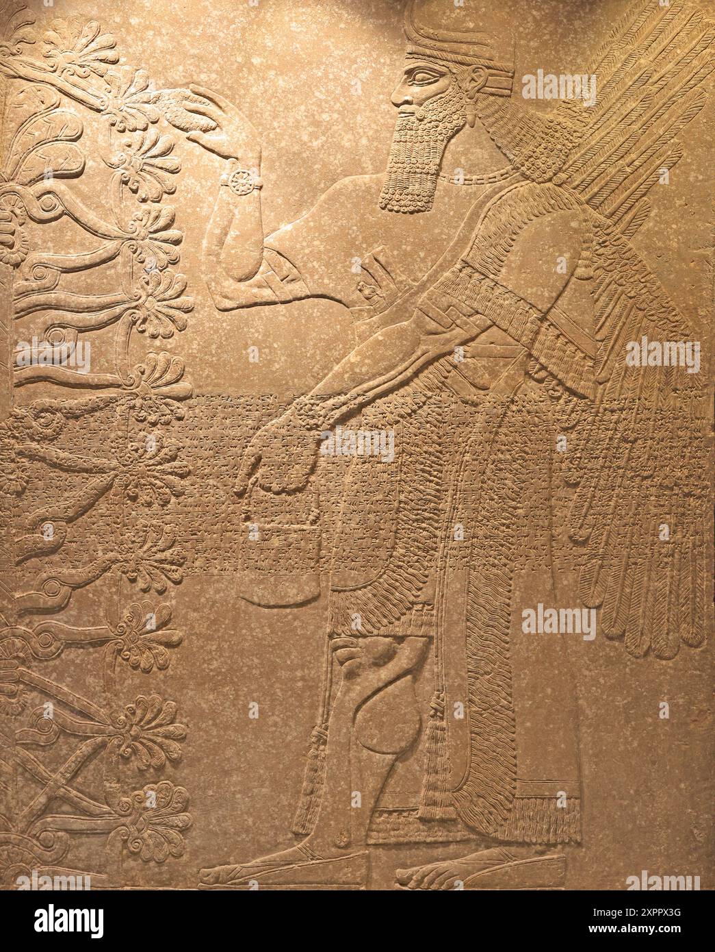 Relief d'une divinité protectrice avec arbre sacré, Irak, Assyrien, 883-859 av. J.-C. gypse, Boston Fine Art Museum Banque D'Images