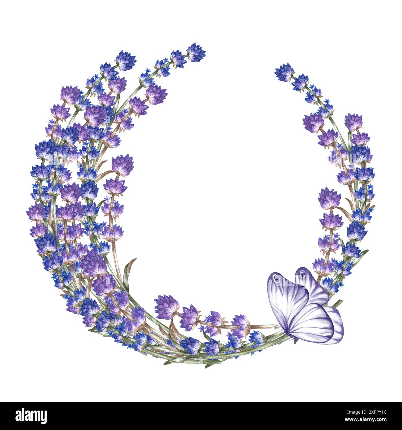 Lavande. Une couronne de lavande avec un papillon. Un cadre rond fait de fleurs violettes. Une illustration aquarelle faite à la main. Mettez-le en surbrillance. Un elemen Banque D'Images