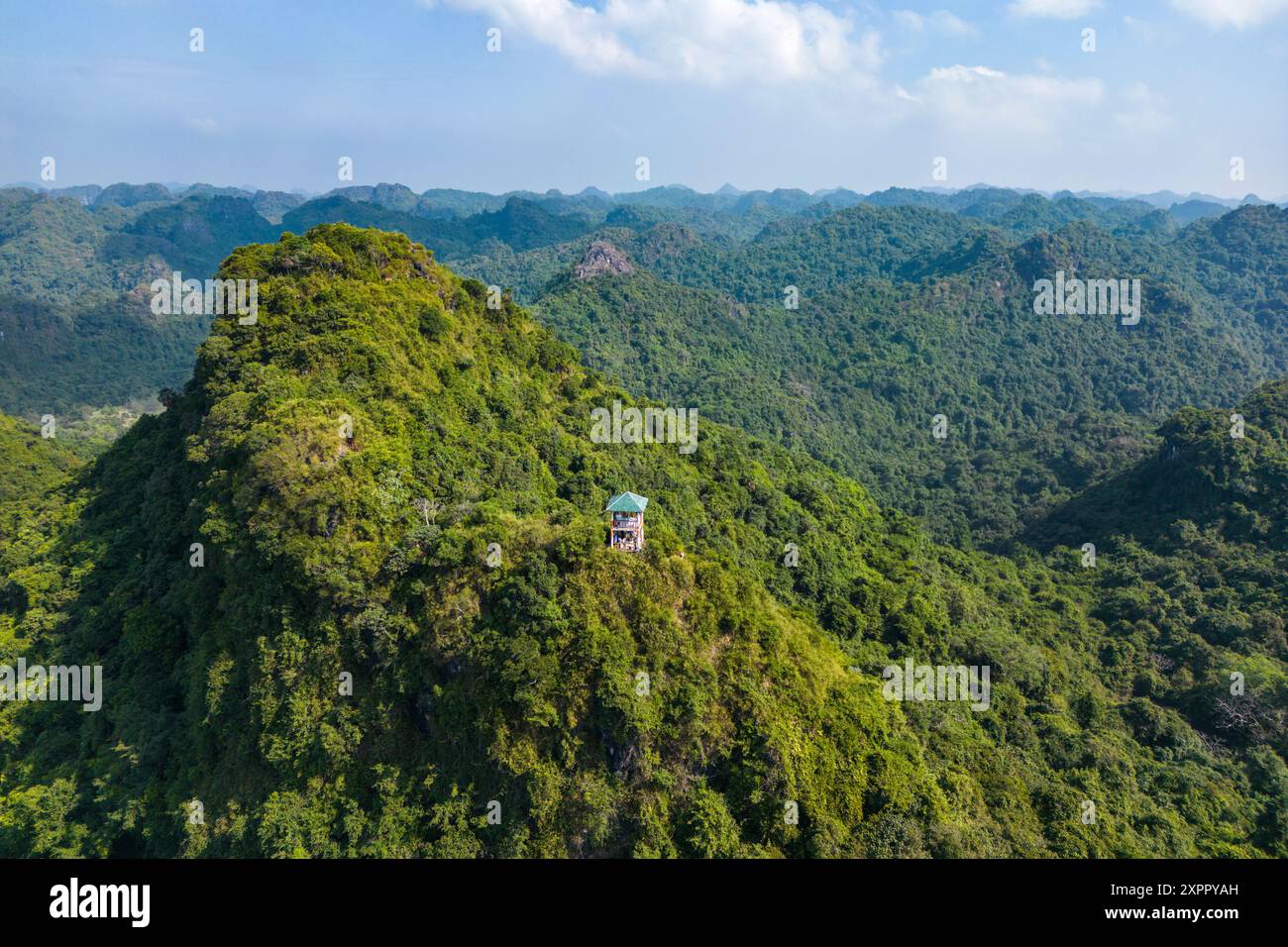 Vue aérienne du parc national de Cat Ba sur l'île de Cat Ba avec pont d'observation sur le pic de Ngu Lam, baie de LAN Ha, Haiphong, Vietnam, Asie Banque D'Images