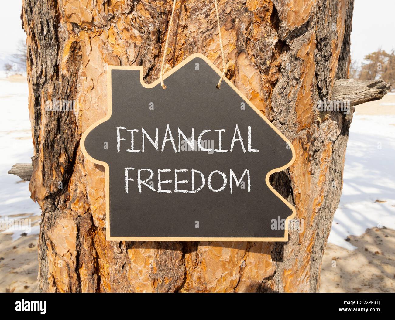 Symbole de liberté financière. Mots conceptuels liberté financière sur le beau tableau noir de la maison noire. Beau fond d'arbre. Liberté financière des entreprises c Banque D'Images