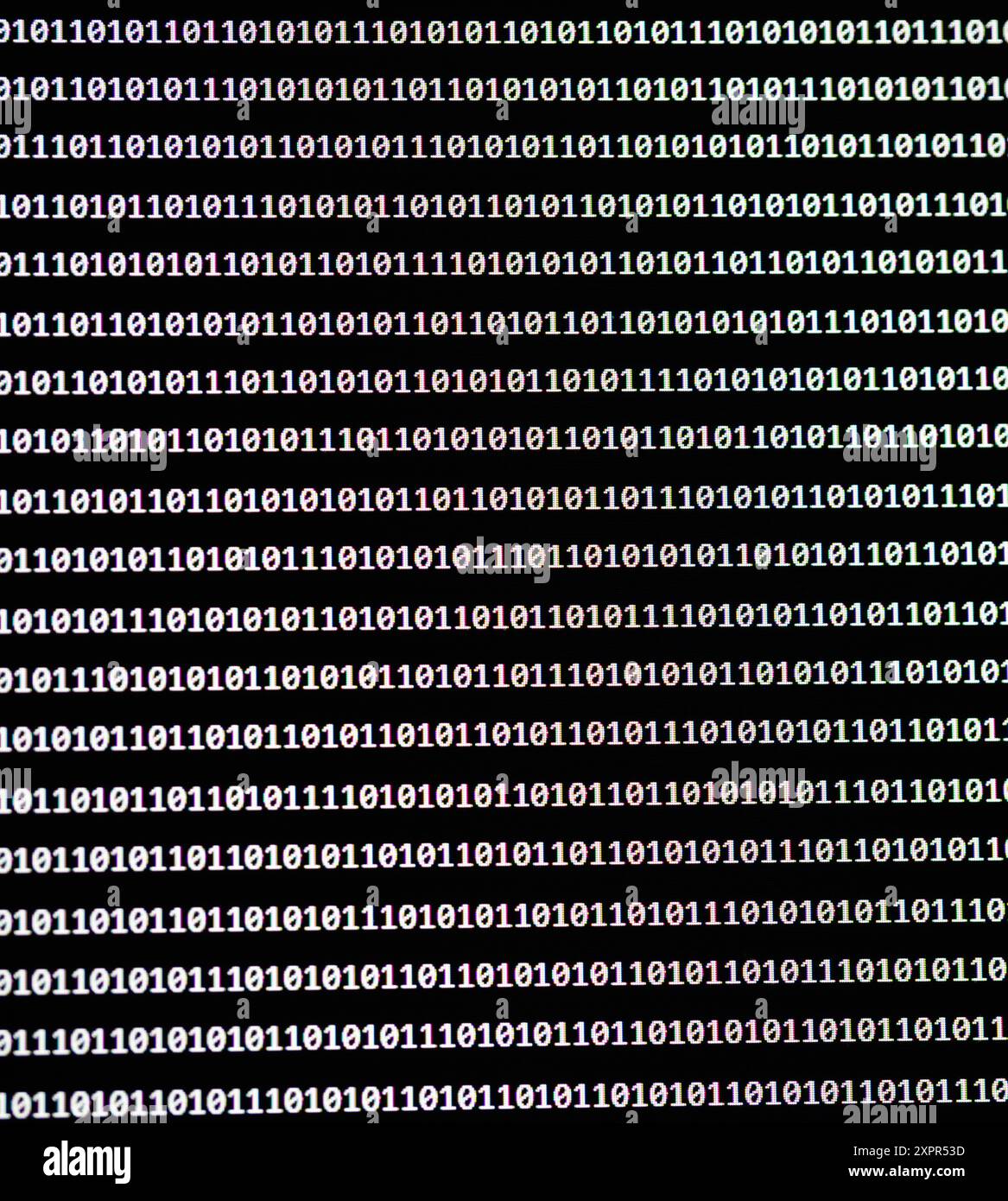 ILLUSTRATION - 07 août 2024, Hesse, Francfort-sur-le-main : le programme de langage développé par la société américaine OpenAI utilise l'intelligence artificielle pour écrire un code binaire aléatoire composé de zéros et de uns. Photo : Frank Rumpenhorst/dpa Banque D'Images