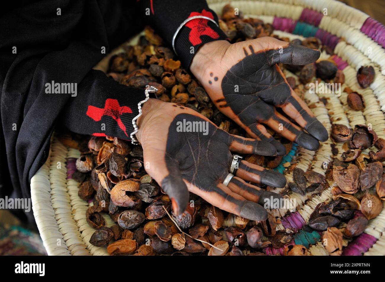 Atelier de fabrication d'AFRA, coopérative féminine pour la récolte de l'huile d'argan, Tafraoute, anti-Atlas, Maroc, Afrique du Nord Banque D'Images