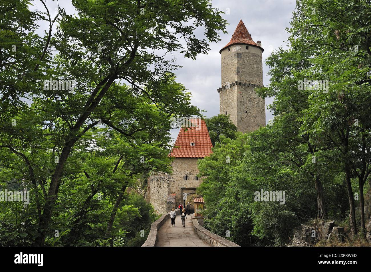 Gîte et tour du château de Zvikov, à côté du village de Zvikovske Podhradi, district de Pisek, région de Bohême du Sud, République tchèque, Europe. Banque D'Images