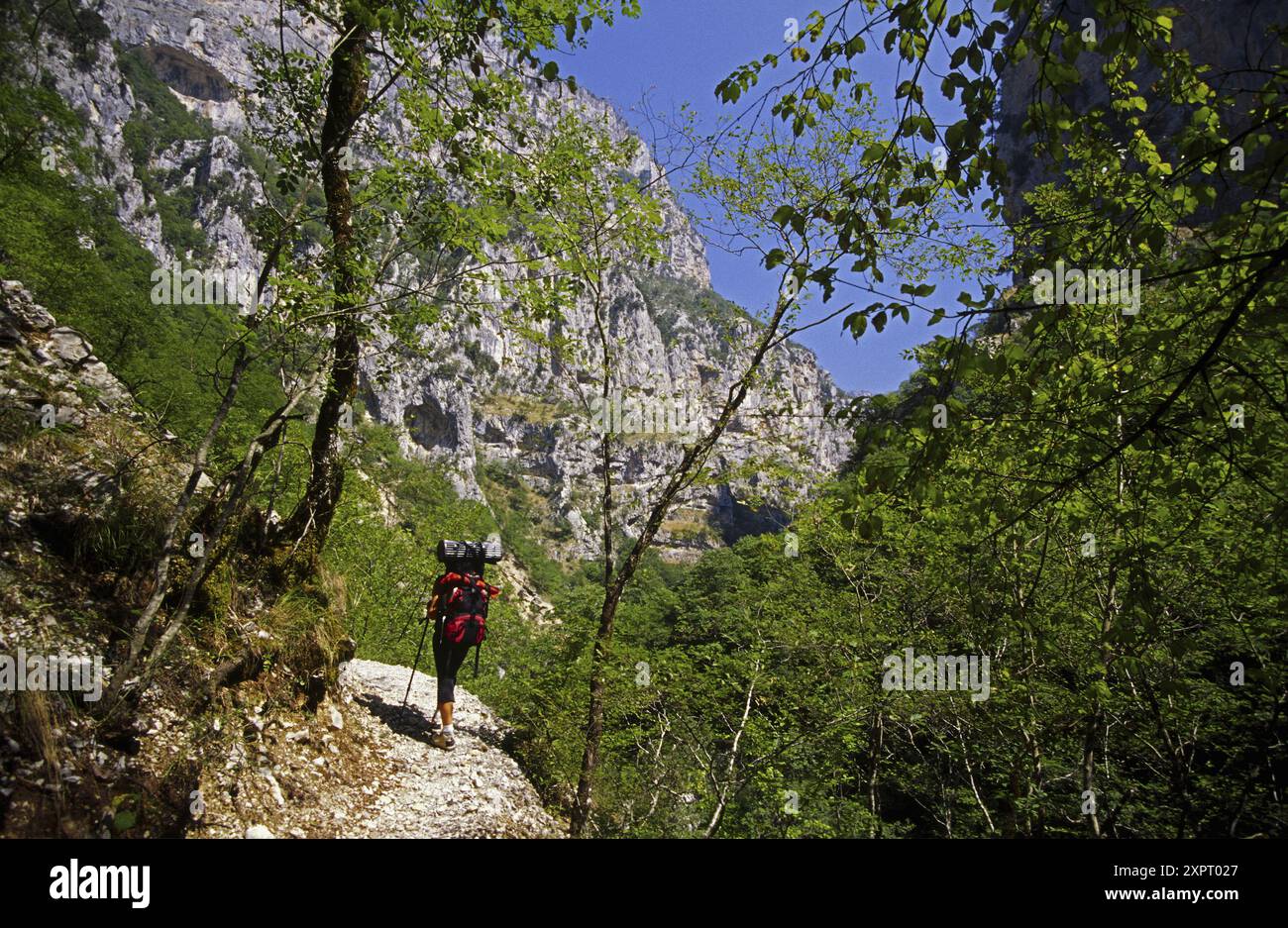 Gorge de Vikos, le Parc National de Vikos-Aoos. L'Épire, Grèce Banque D'Images