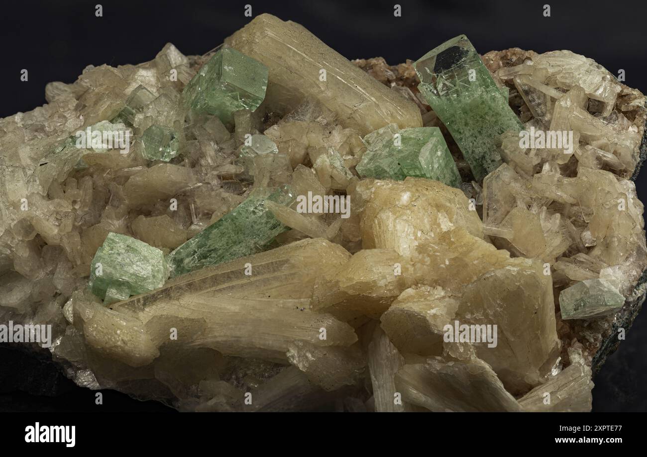 Composition saisissante de cristaux d'apophyllite et de stilbite, soulignant l'interaction délicate de la couleur et de la forme dans ces minéraux Banque D'Images