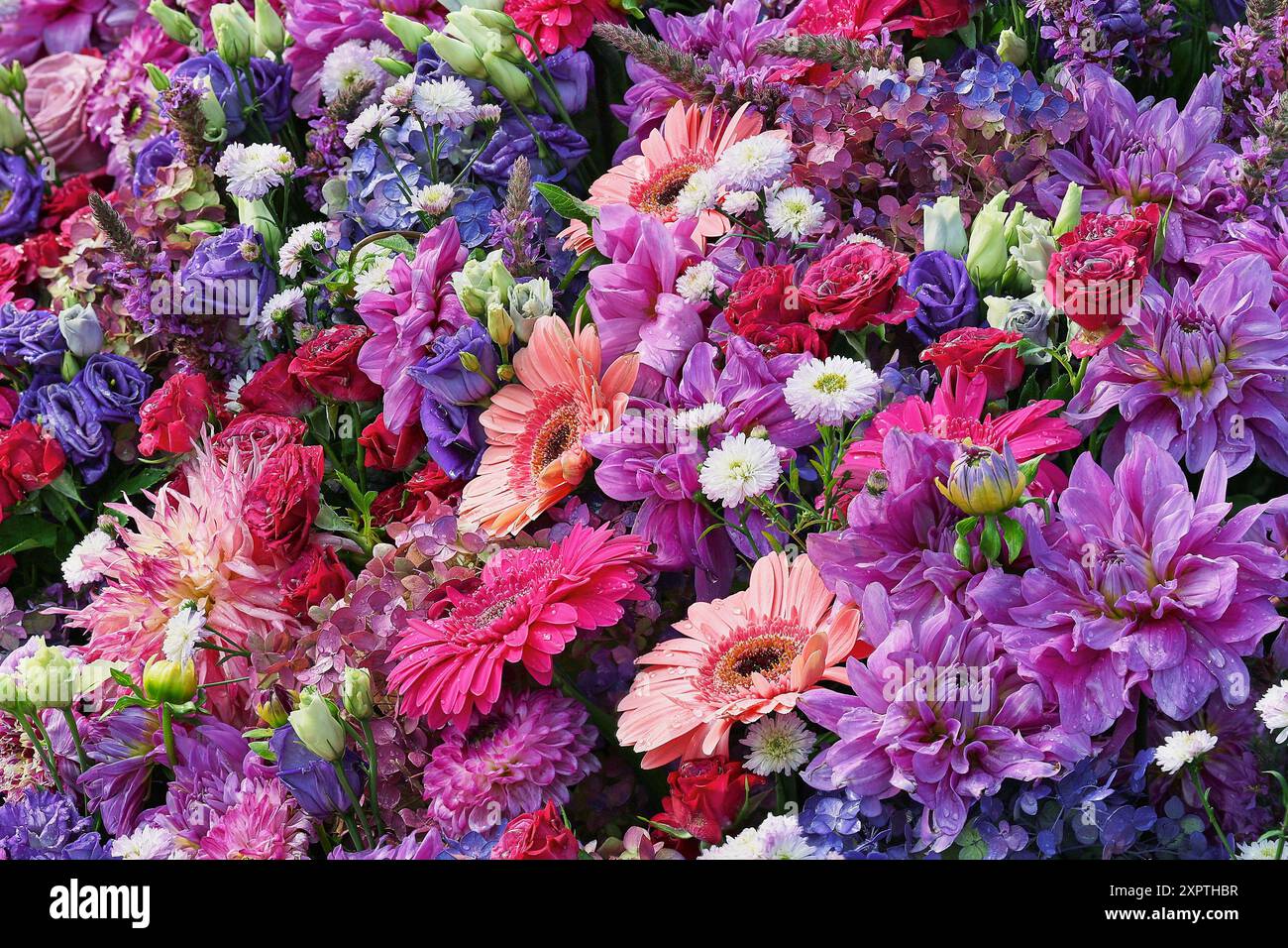 Composition florale vibrante. Fête des mères, Saint Valentin, concept de célébration d'anniversaire. Vue de dessus Banque D'Images