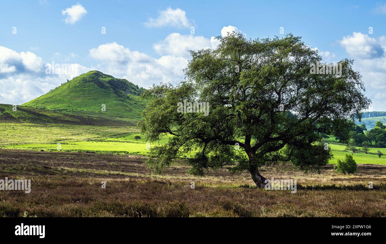 Fermes dans le parc national de North York Moors, Yorkshire, Angleterre Banque D'Images