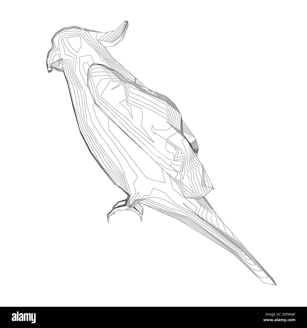 Coloriage noir et blanc. Icône de perroquet animaux. Illustration vectorielle. Icône vectorielle de perroquet macaw. Illustration d'oiseau sauvage. Illustration de Vecteur