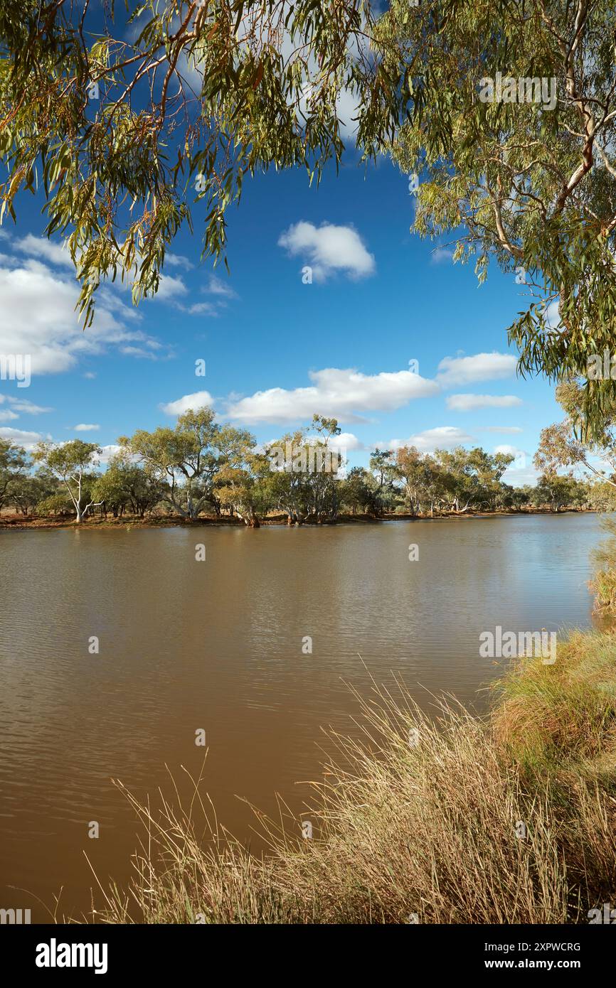 Eringa Waterhole, Mt Dare Road, outback Australie méridionale, Australie Banque D'Images