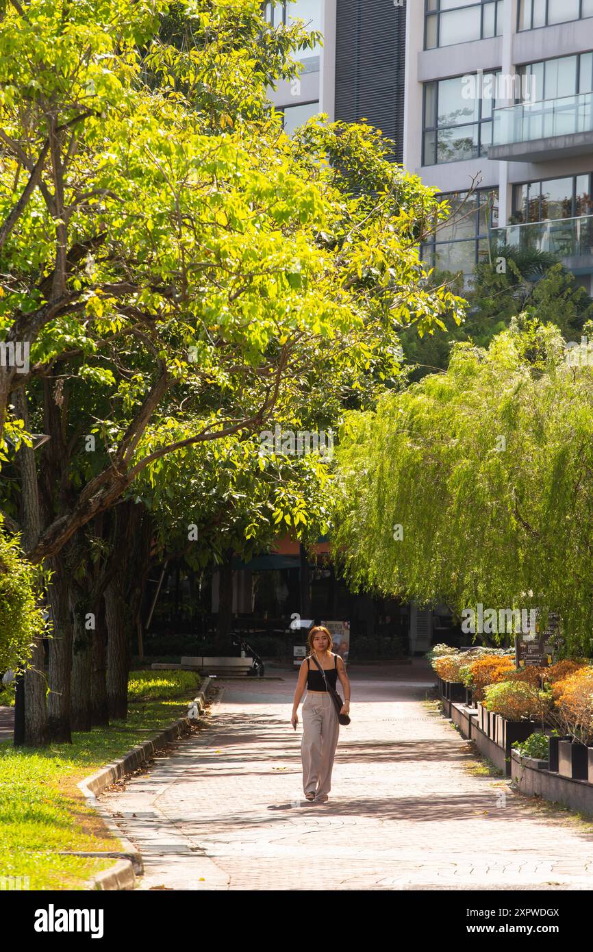 Une femme asiatique marche sur le chemin avec de beaux arbres de saules pleureurs et un éclairage magnifique dans les environs. Singapour. Banque D'Images