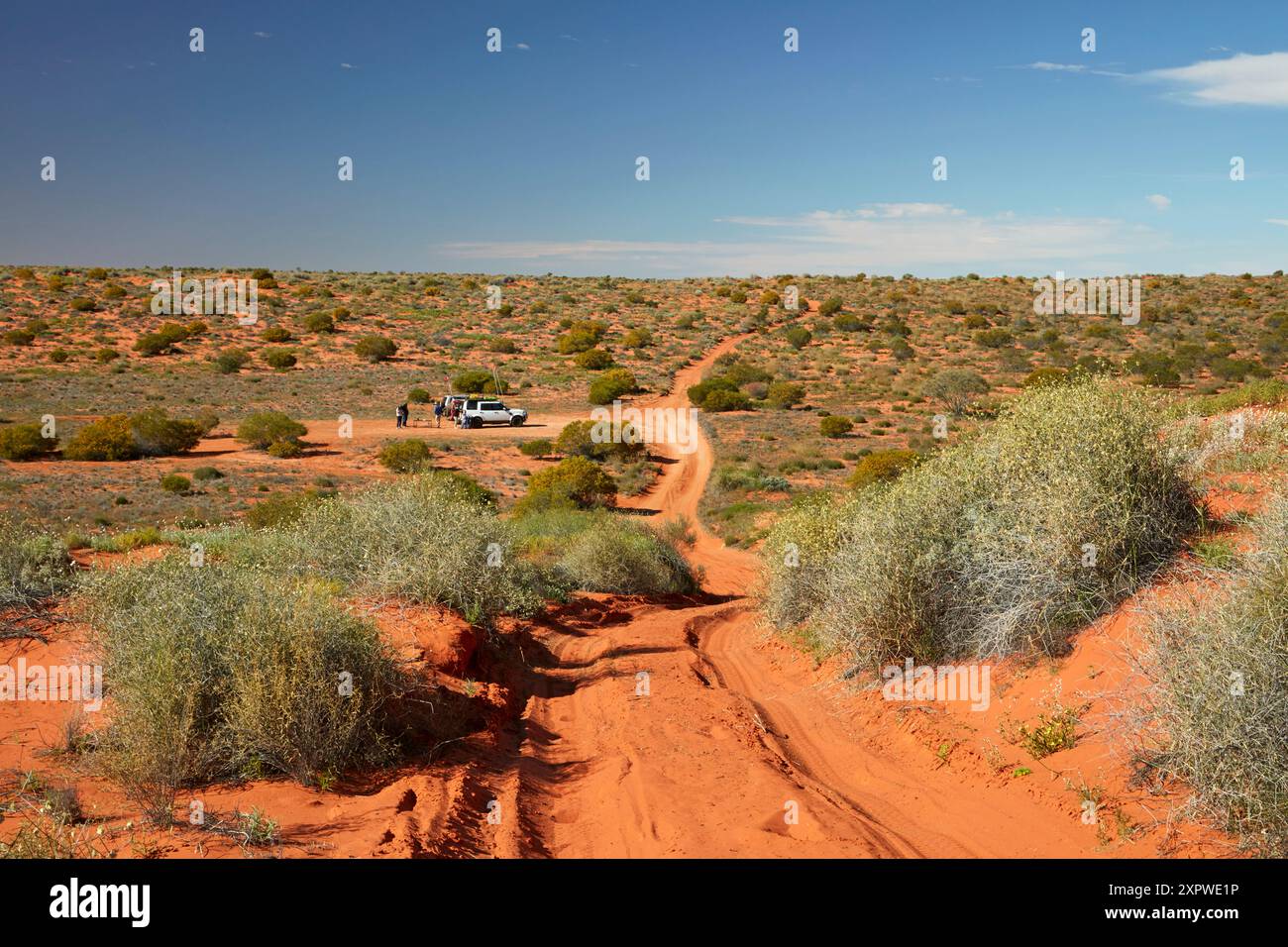 La French Line Track Across dunes, parc national du désert de Munga-Thirri-Simpson, désert de Simpson, outback Australie méridionale, Australie Banque D'Images