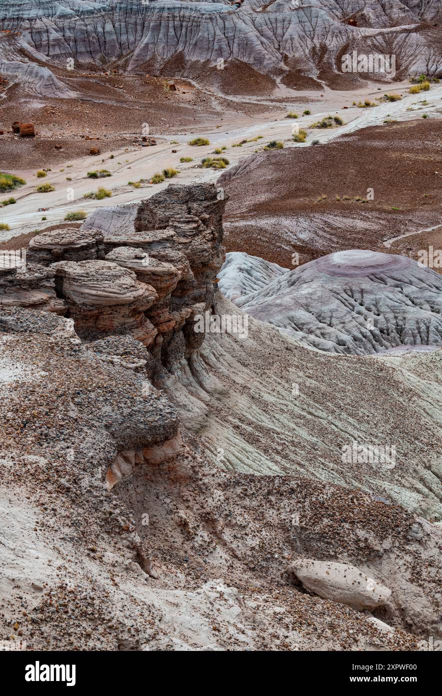 Les couleurs, les caractéristiques d'érosion et les motifs sont les principaux atarctions du Painted Desert National Park, dans le comté d'Apache, Arizona Banque D'Images