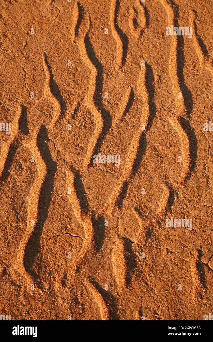 Sand Ripples, QAA Line, Simpson Desert, Outback Queensland, Australie Banque D'Images