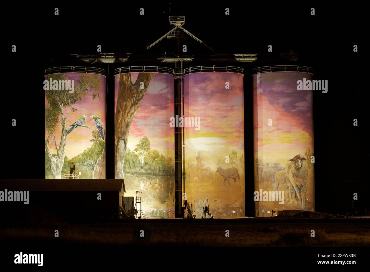 Peintures murales sur silos à grains la nuit (peintes par Joel Fergie et Travis Vinson, alias The Zookeeper et Drapl), Thallon, région de Balonne, Queensland, Australie Banque D'Images