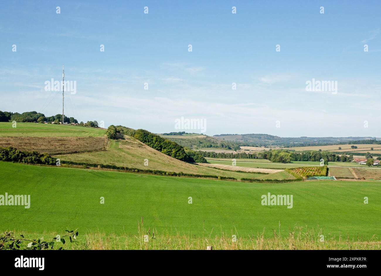 Vue depuis Plantation Hill sur les Hampshire Downs à Kingsclere. Une zone d'une beauté naturelle exceptionnelle avec le perçage de l'émetteur Hannington Banque D'Images