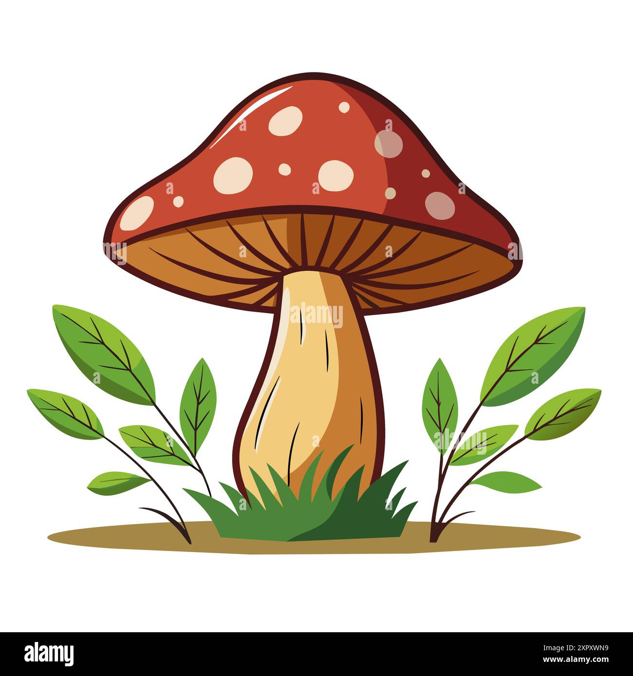 Amanita de champignon non comestible poussant dans l'herbe verte. Mouche agarique. Illustration vectorielle de style de dessin animé. Illustration de Vecteur