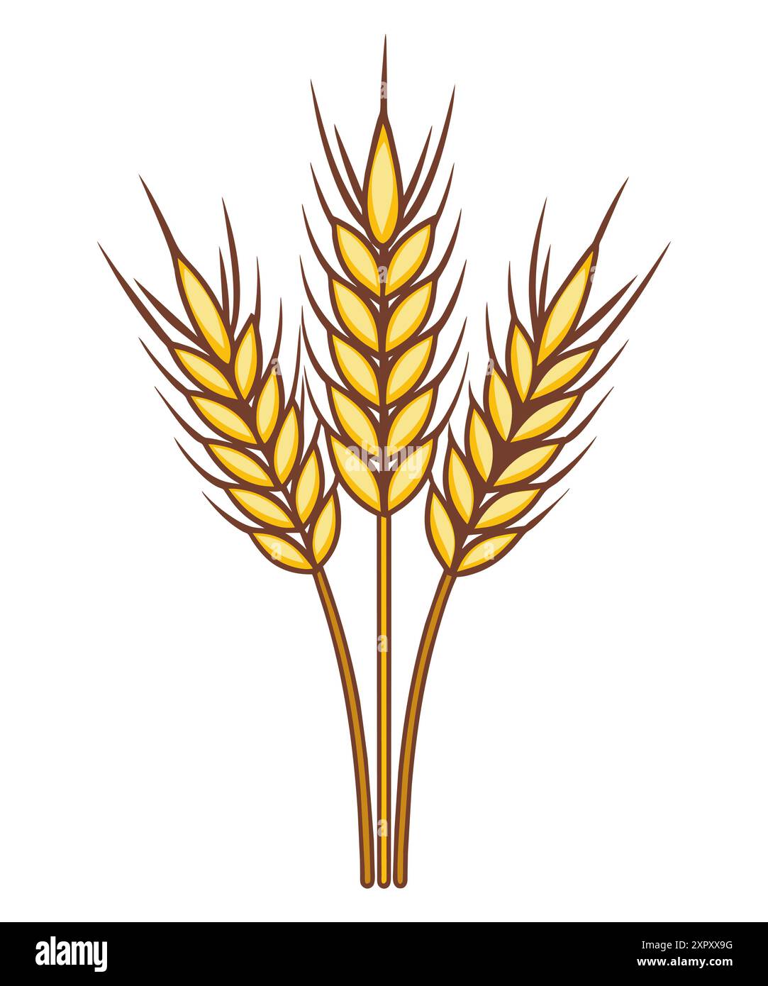 Épillets de blé dessinés à la main. Illustration vectorielle de style de dessin animé. Illustration de Vecteur