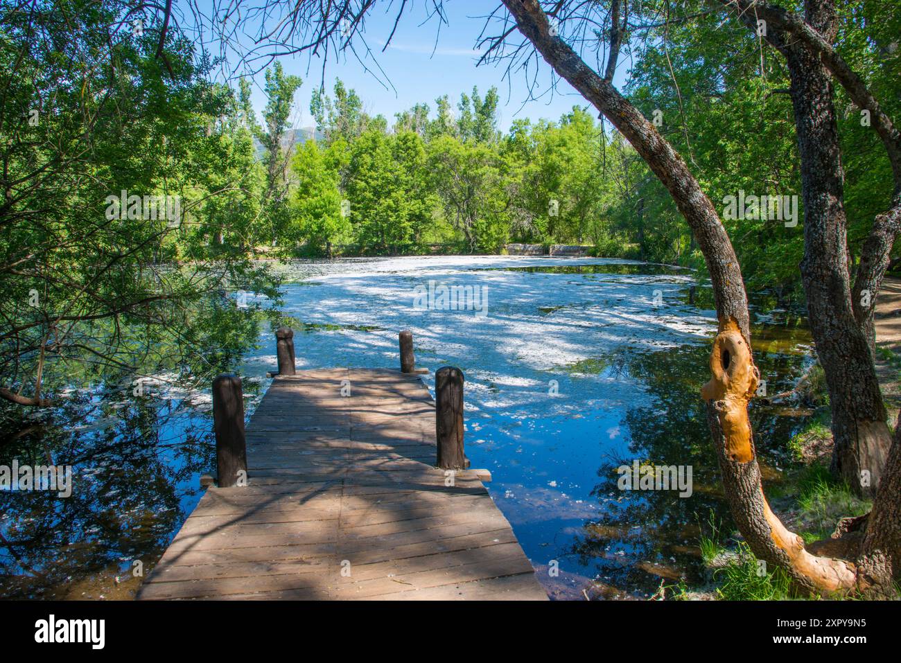Étang dans la forêt finlandaise. Rascafria, Province de Madrid, Espagne. Banque D'Images