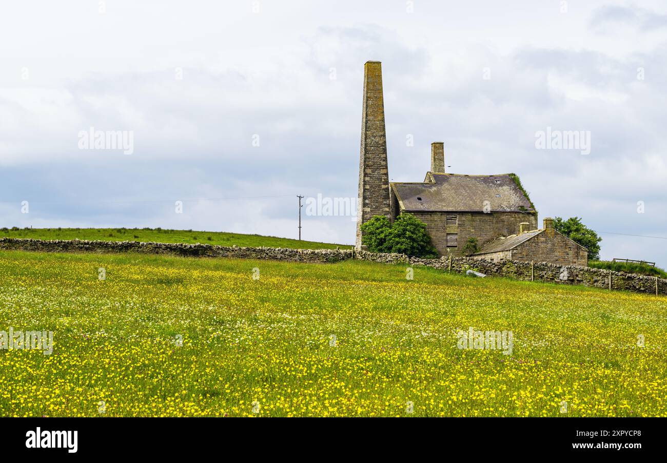 Fermes au-dessus des Pennines du Nord, Cumbria, Durham, Northumberland, North Yorkshire, Angleterre Banque D'Images