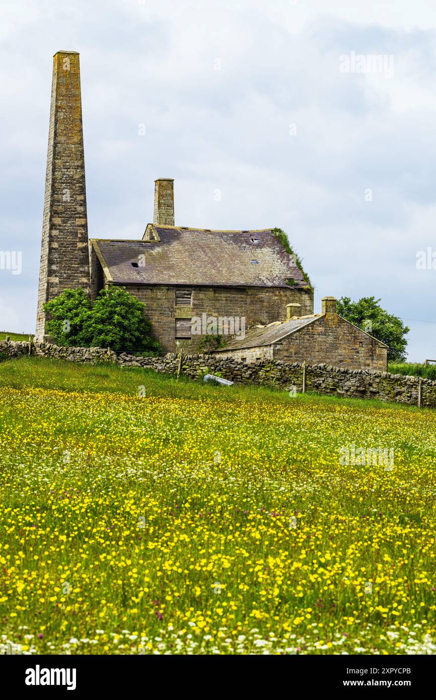 Fermes au-dessus des Pennines du Nord, Cumbria, Durham, Northumberland, North Yorkshire, Angleterre Banque D'Images