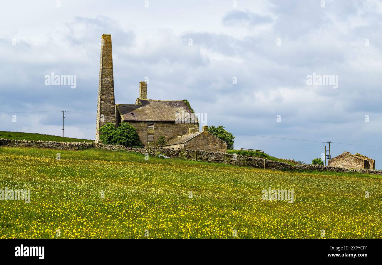 Fermes au-dessus des Pennines du Nord, Cumbria, Durham, Northumberland, North Yorkshire, Angleterre Banque D'Images