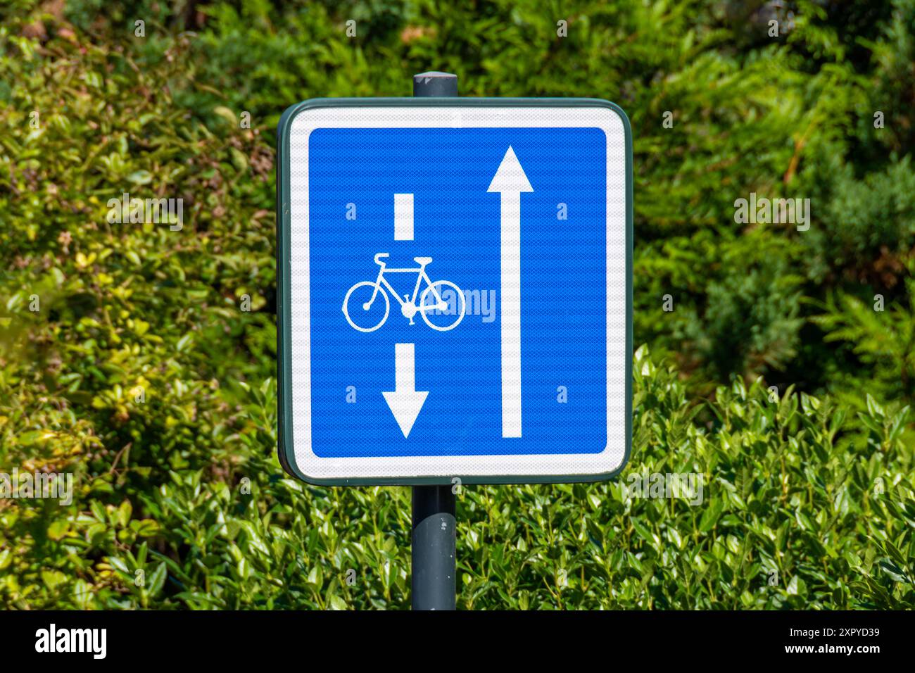 Panneau routier indiquant le cyclisme dans les deux sens dans une rue à sens unique, ce qui signifie que les vélos sont autorisés à circuler contre le flux de la circulation motorisée Banque D'Images