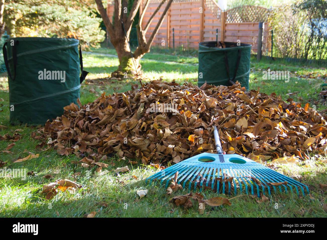 un tas de feuilles avec un râteau et deux sacs de feuilles dans le jardin Banque D'Images