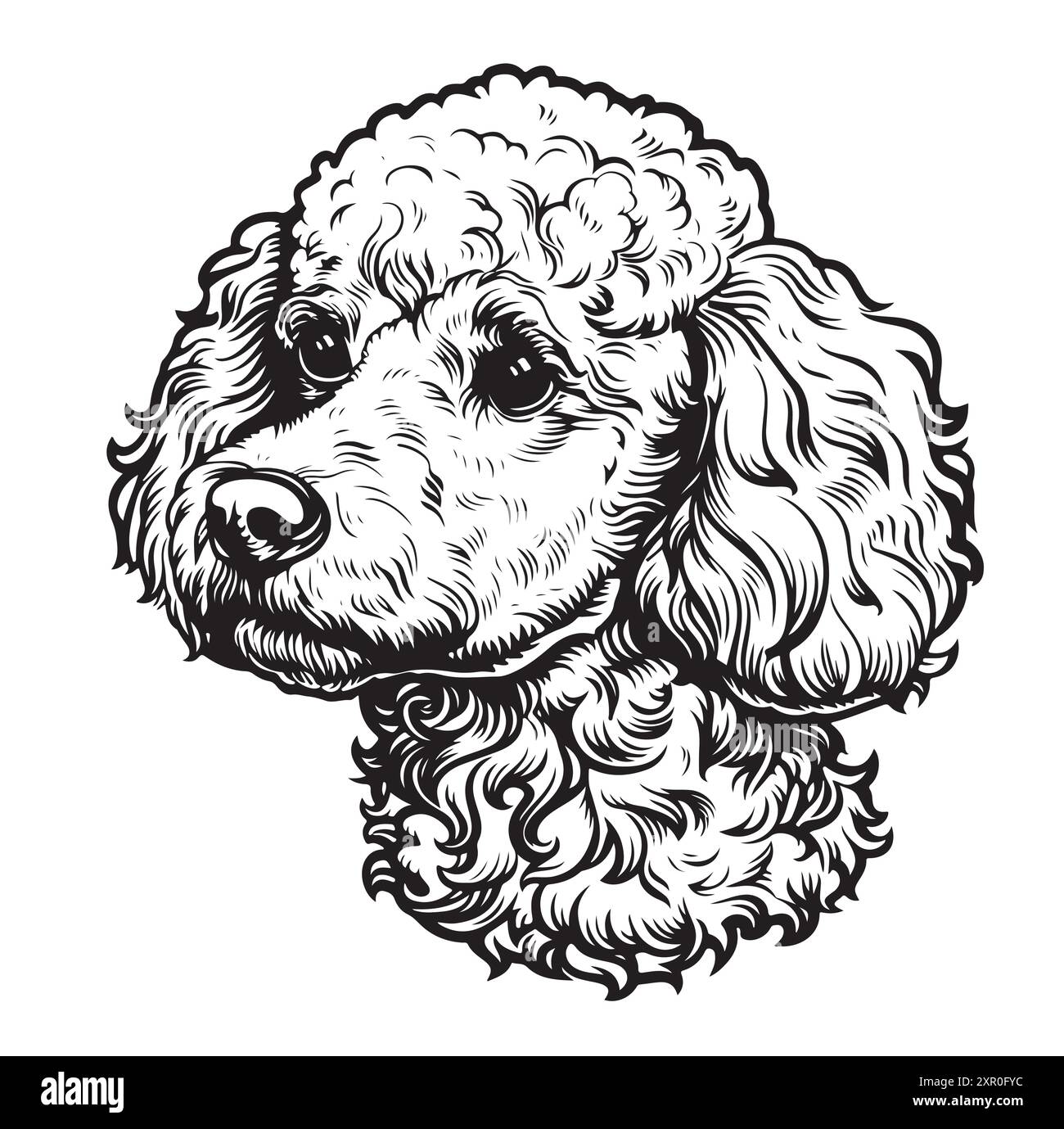 Mignon jouet chien caniche portrait dessin à la main animaux de compagnie illustration vectorielle. Illustration de Vecteur