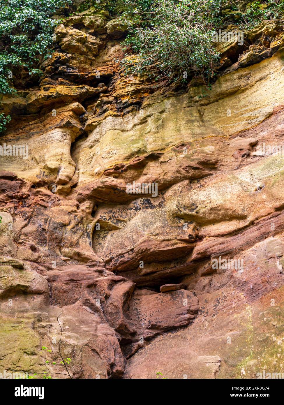 Falaises de grès près de la rivière Nidd à Knaresborough une ville du Yorkshire du Nord en Angleterre Banque D'Images