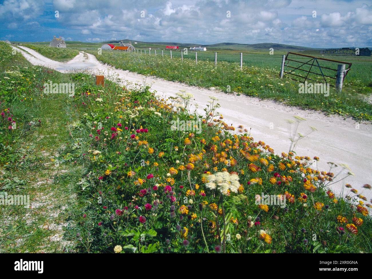 North Uist, RSPB Balranald nature Reserve montrant la trace à travers Croftland, Hébrides extérieures, Écosse, juillet Banque D'Images