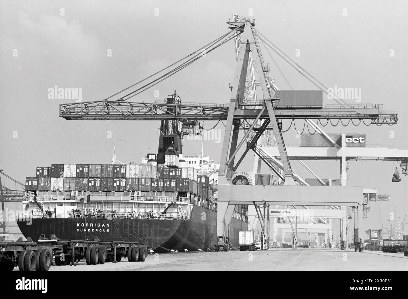 Container port ECT, Rotterdam, bulbes de fleurs, ports, transport, transport Companies, Rotterdam, 13-09-1984, Whizgle Dutch News : images historiques sur mesure pour l'avenir. Explorez le passé néerlandais avec des perspectives modernes grâce à des images d'agences néerlandaises. Concilier les événements d'hier avec les perspectives de demain. Embarquez pour un voyage intemporel avec des histoires qui façonnent notre avenir. Banque D'Images